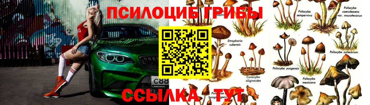 Усть-Кут  Галлюциногенные грибы Cubensis  Вход с VPN  Галлюциногенные грибы MAGIC MUSHROOMS 