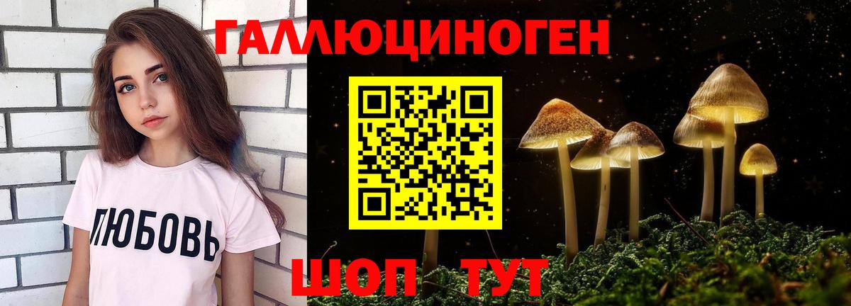 Псилоцибиновые грибы GOLDEN TEACHER Усть-Кут